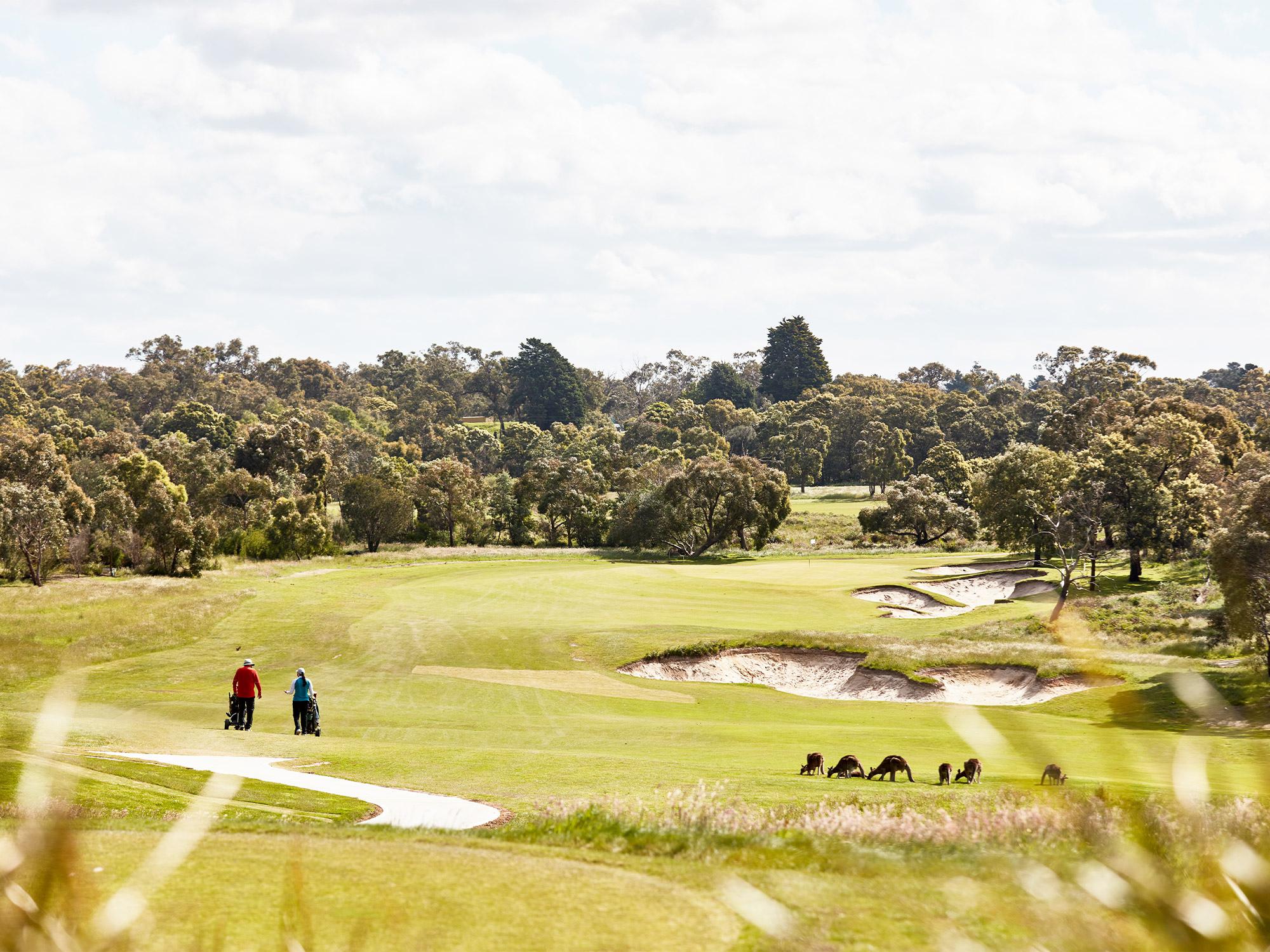 [Land for Sale] Botanic Ridge Estate, Botanic Ridge OpenLot